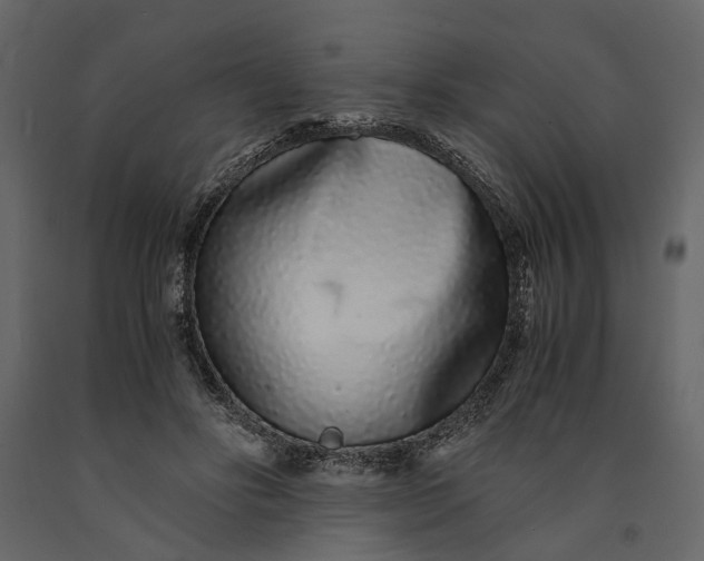 X0000091100502200708271319