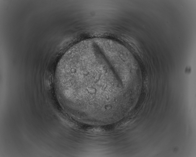 X0000091100503200708271319