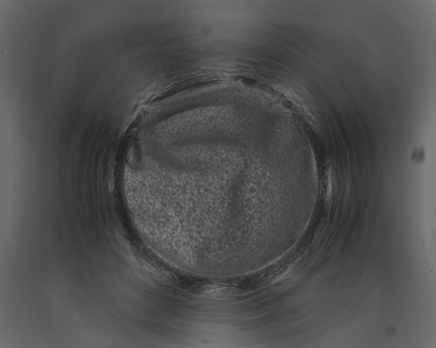 X0000091100504200708271319