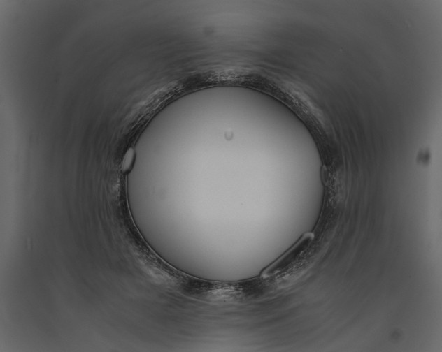 X0000091100505200708271319