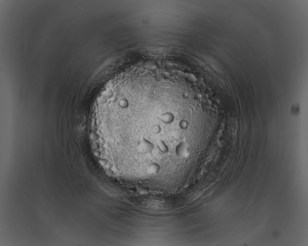 X0000091100507200708271319