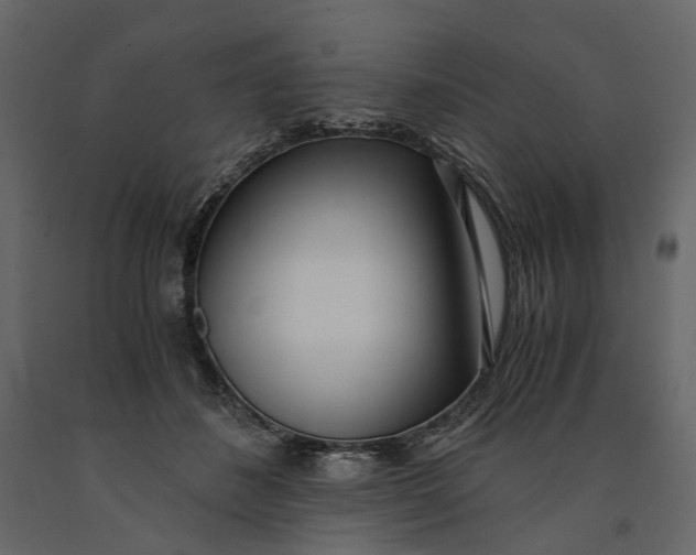 X0000091100508200708271319