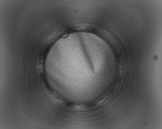 X0000091100510200708271319