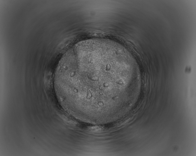 X0000091100511200708271319