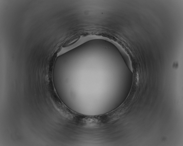 X0000091100512200708271319