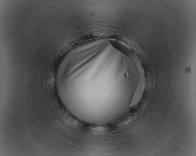 X0000091100513200708271319