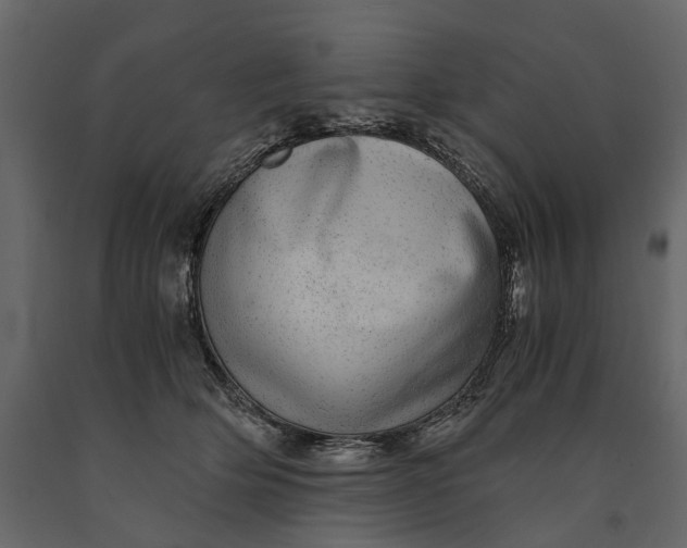 X0000091100514200708271319