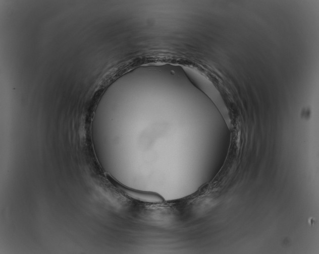 X0000091100516200708271319