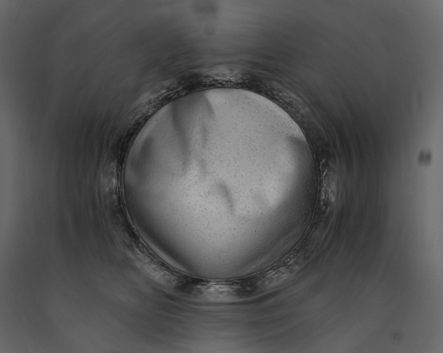 X0000091100518200708271319