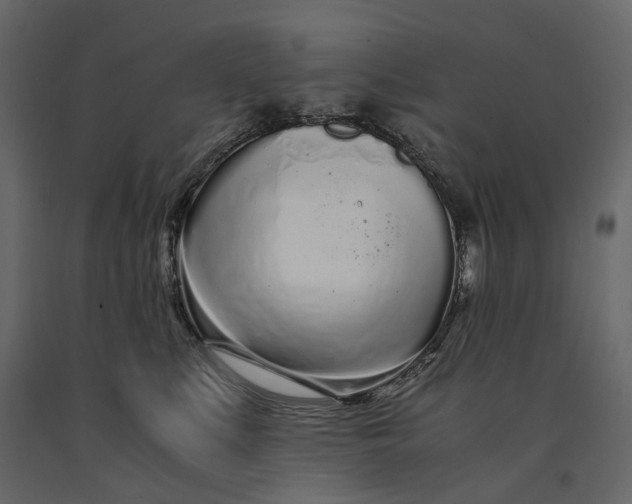 X0000091100519200708271319