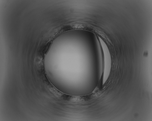 X0000091100521200708271319