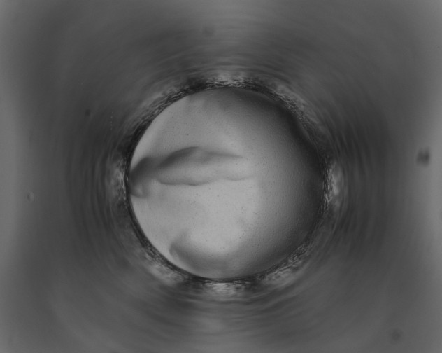 X0000091100522200708271319