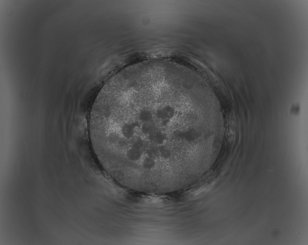 X0000091100523200708271319