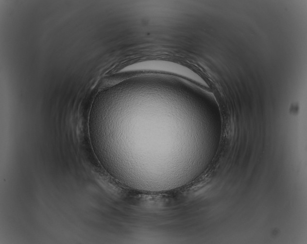 X0000091100524200708271319