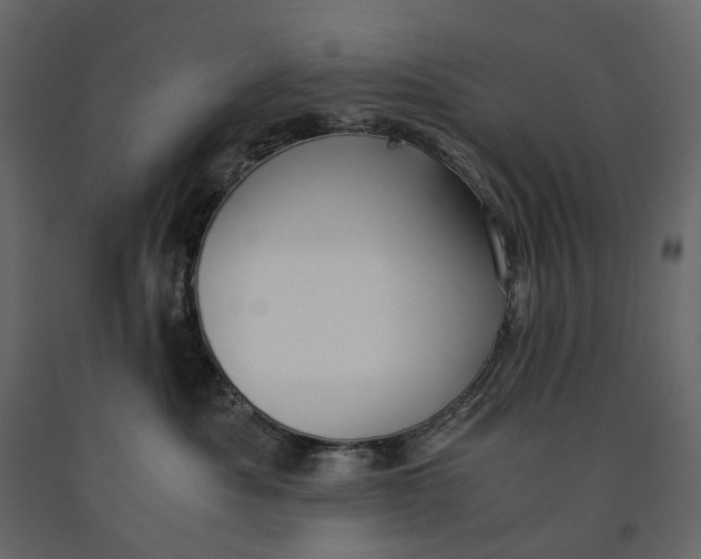 X0000091100525200708271319