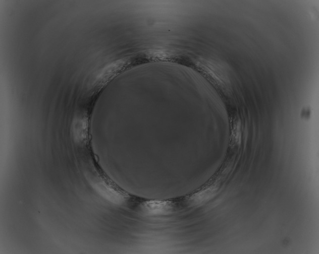 X0000091100526200708271319