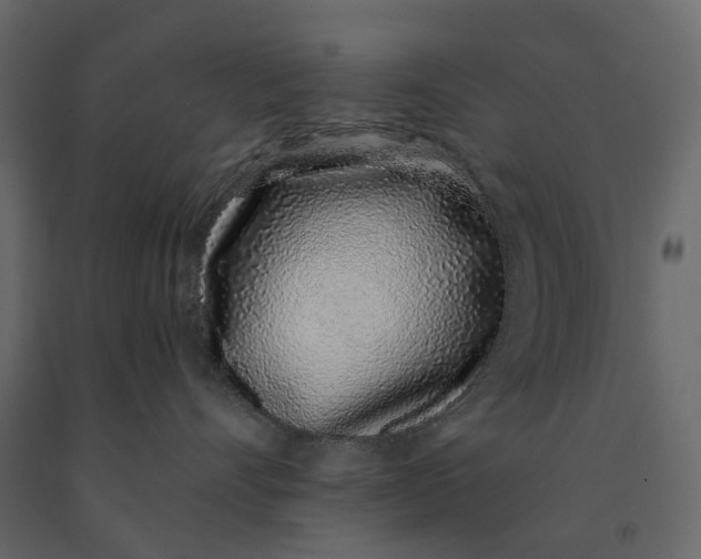 X0000091100528200708271319