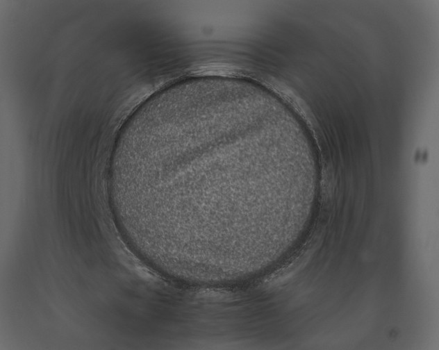 X0000091100529200708271318