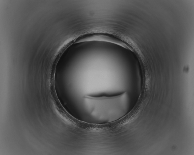 X0000091100530200708271318