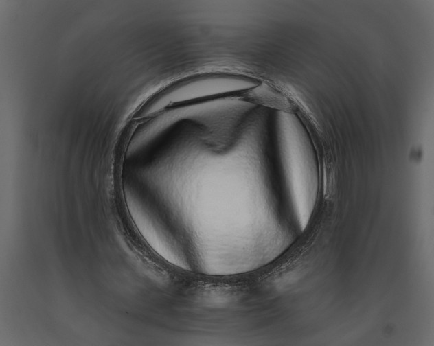 X0000091100531200708271318