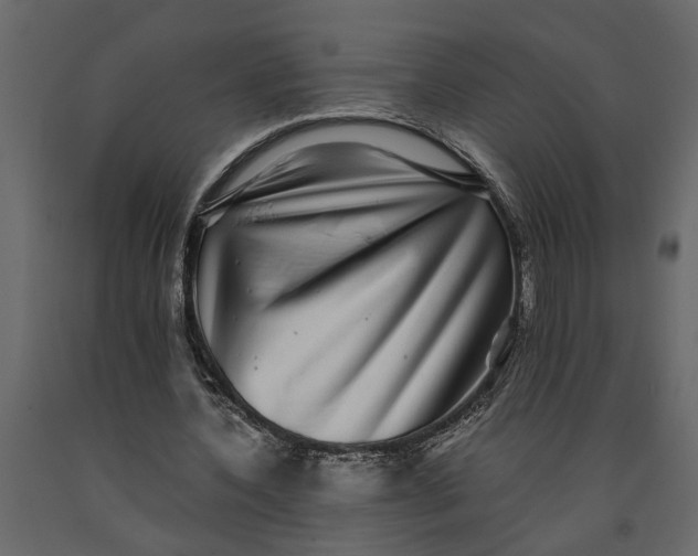 X0000091100532200708271318