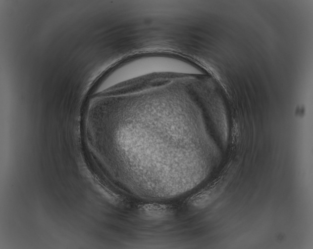 X0000091100535200708271318