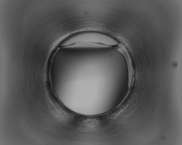 X0000091100536200708271318