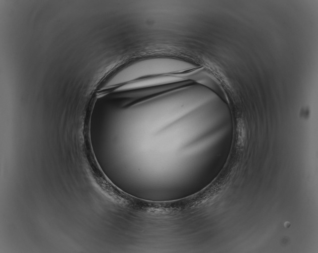 X0000091100538200708271318