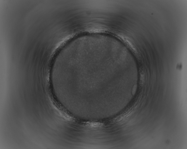 X0000091100539200708271318