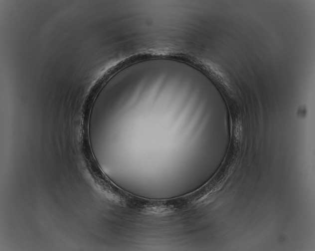 X0000091100540200708271318