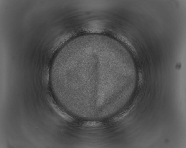 X0000091100541200708271318