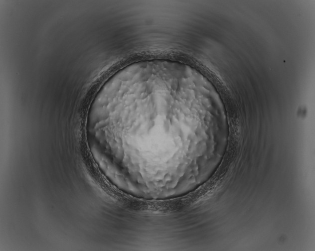 X0000091100542200708271318