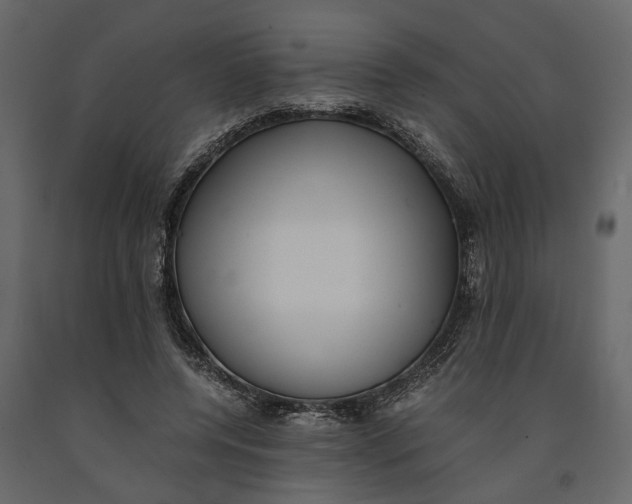 X0000091100544200708271318