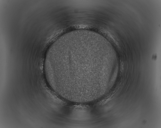 X0000091100545200708271318