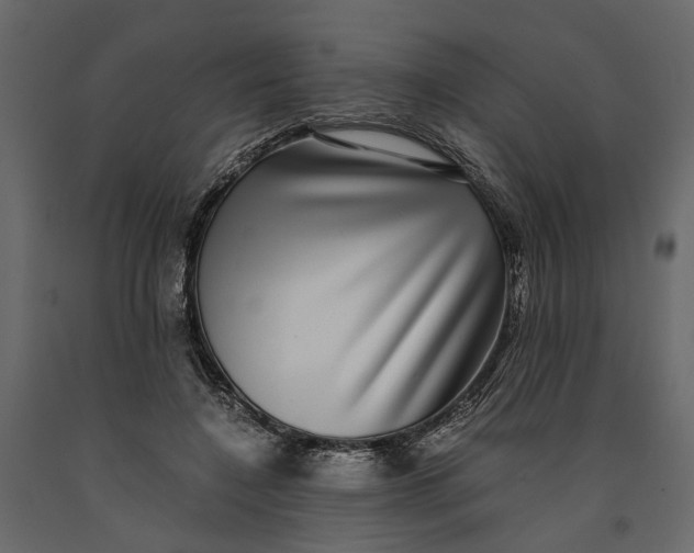 X0000091100548200708271318