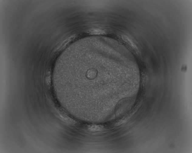 X0000091100549200708271318