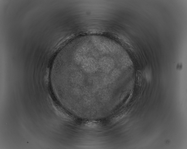 X0000091100550200708271318