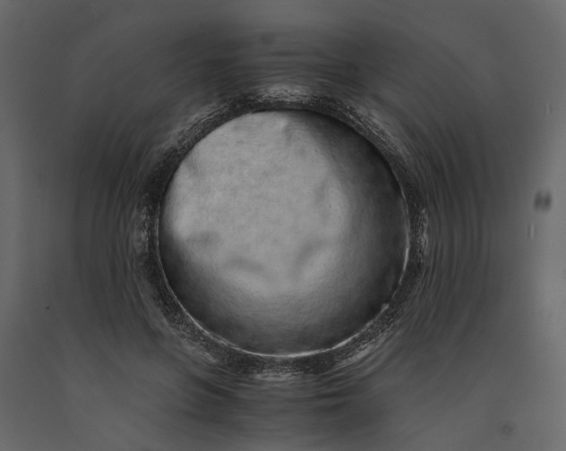 X0000091100551200708271318