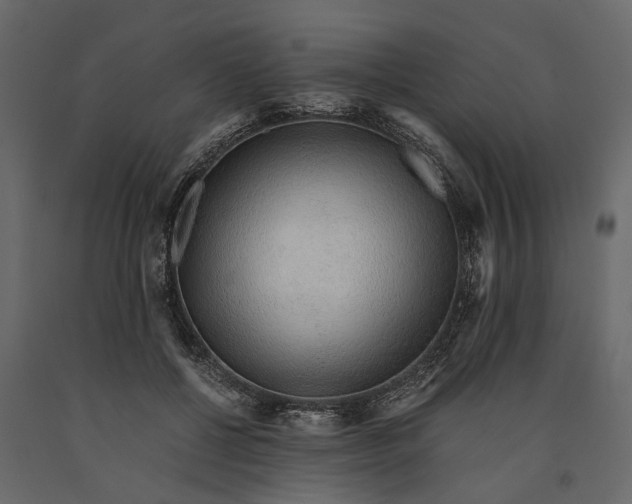 X0000091100552200708271318