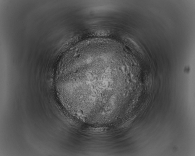 X0000091100553200708271318