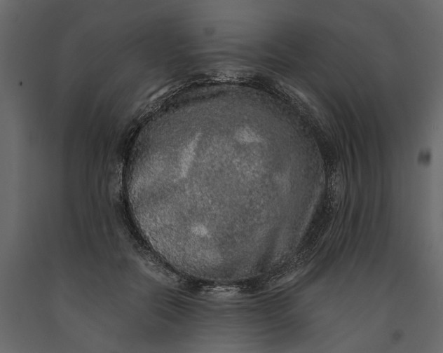 X0000091100554200708271318