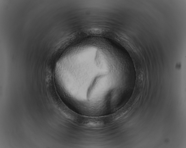 X0000091100555200708271318