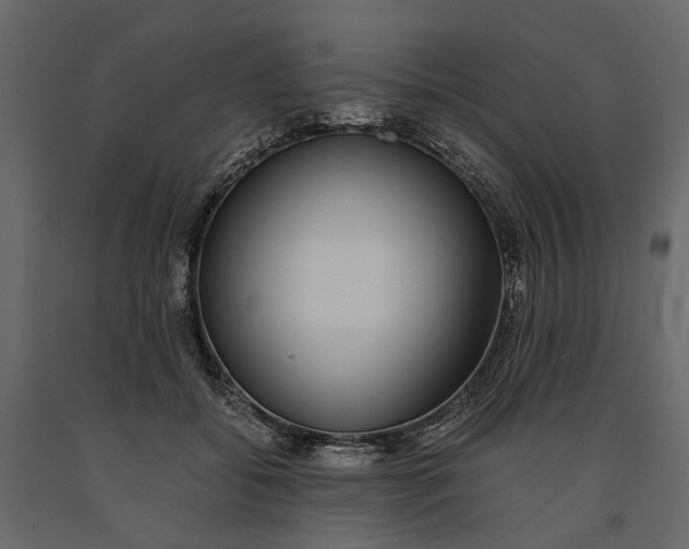 X0000091100556200708271318