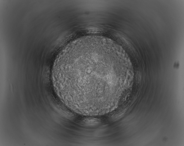 X0000091100557200708271318