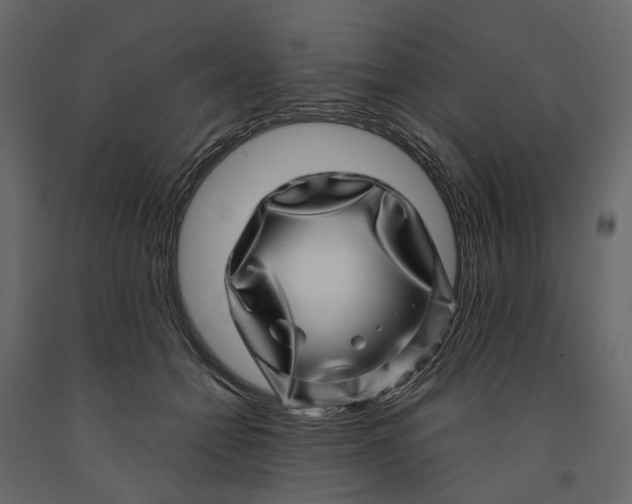 X0000091100558200708271318