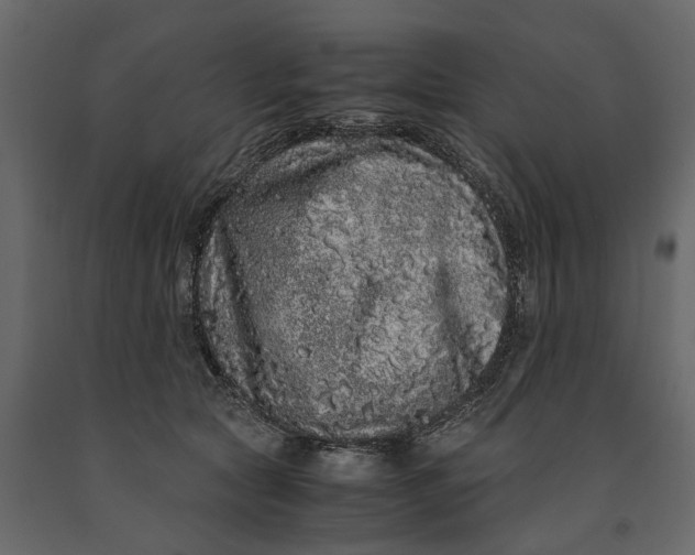 X0000091100561200708271318