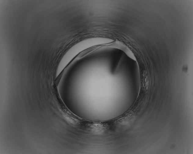 X0000091100562200708271318