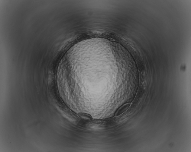 X0000091100563200708271318