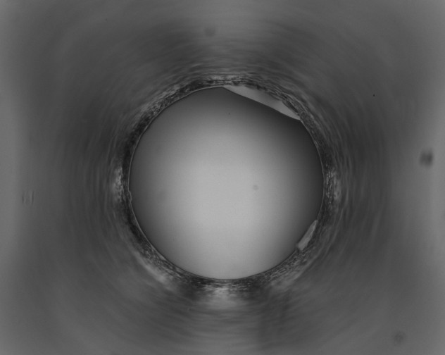 X0000091100564200708271318