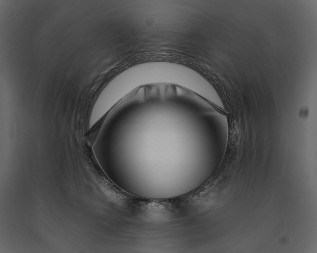 X0000091100566200708271319